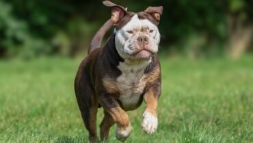 John Cena Opens Up On the Motivations Behind His Hair Transplant