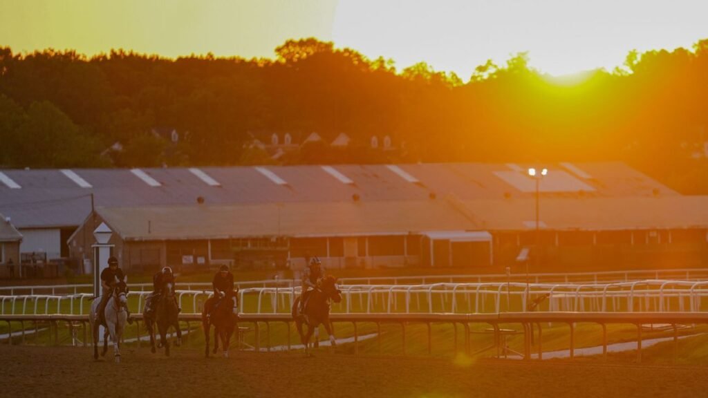 The new venue, the front-runners and one reason to bet every horse in the 2026 Preakness Stakes