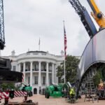 Everything to know about the UFC White House centerpiece: the claw