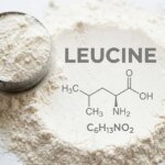 New Study Reveals How Leucine Boosts Energy, Muscle Growth, and Metabolism