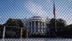UFC at the White House expert picks, storylines, numbers to know