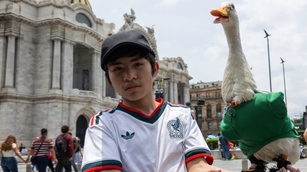 World Cup's best viral moments: Mexico, Scotland ducks; German cyclist rides far