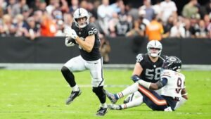 Execs, coaches, scouts rank top NFL tight ends for 2026