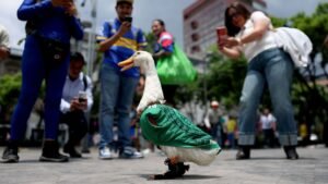 Ranking the 2026 World Cup's best viral moments, from Merlin the Duck to the Viking Row